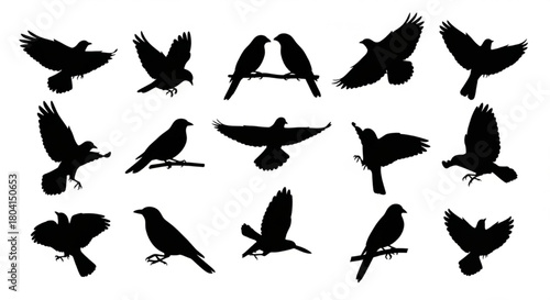 Black Silhouette Vector of Assorted Birds in Flight and Perched Positions, Minimalist Clean Shapes, Isolated on White Background, Elegant Avian Sheet Illustration

