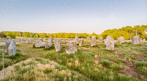 Alignements mégalithiques de Carnac – groupe de menhirs sous ciel clair