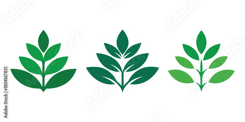 Three Green Leaves Representing Nature Growth and Organic Natural Products