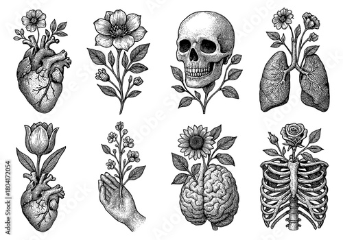 Vintage anatomical floral elements collection with human organs and flowers