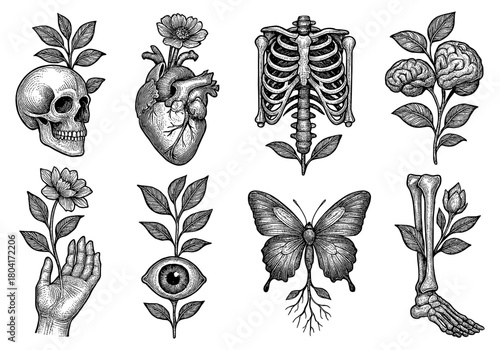 Intricate anatomical designs with floral elements and vintage style