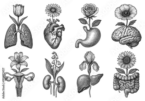 Anatomy meets nature: intricate botanical and human organ fusion illustrations