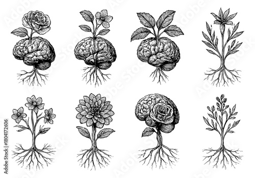 Hand drawn botanical brain art: creativity and nature fusion