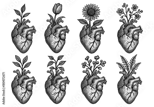 Vintage botanical hearts with blooming flowers: nature and anatomy fusion