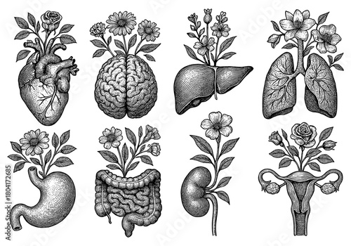 Intricate floral organ designs: nature's harmony in anatomy