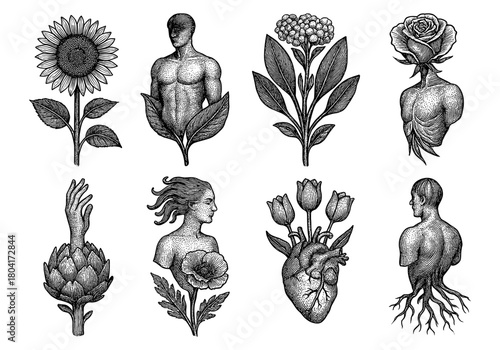 Surreal botanical and human fusion illustrations
