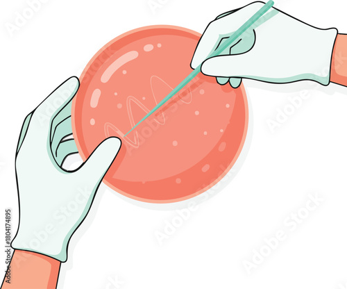 Gloved hands streaking a petri dish with a sterile loop, spreading sample across the agar surface