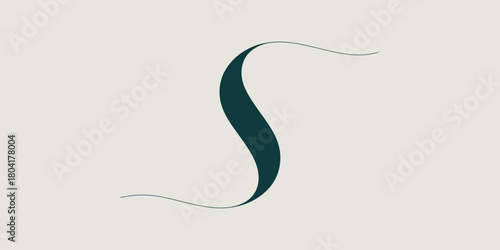 A minimalist image featuring a dark teal s shaped curve on a light background with delicate lines around it