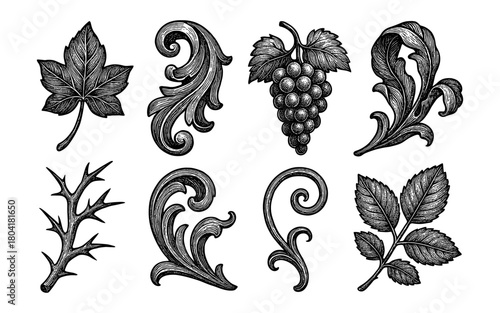 Vintage botanical elements: intricate baroque and floral designs in black and white