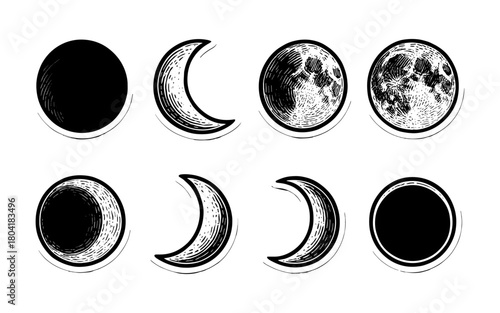 Hand-drawn moon phases set in ink style
