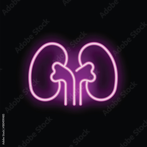 Neon sign illustrating the shape and location of healthy human kidneys