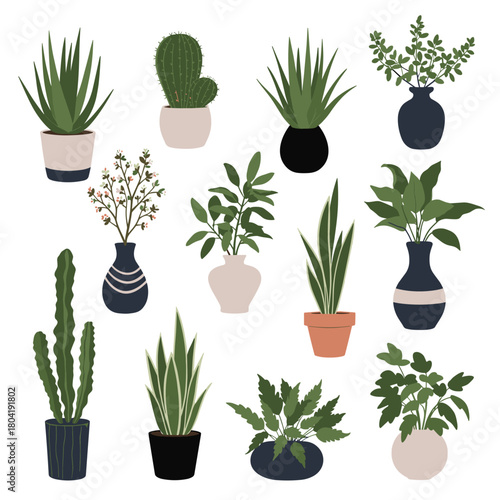 A diverse collection of potted houseplants and succulents is beautifully arranged.