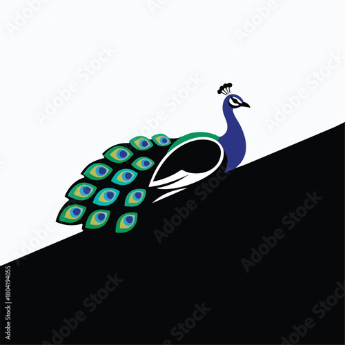 Vector Vibrant, majestic peacock with full plumage