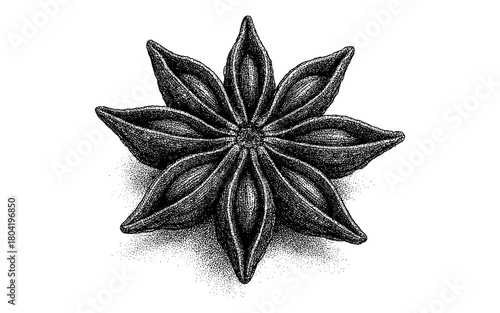 Detailed hand-drawn pointillism star anise botanical art