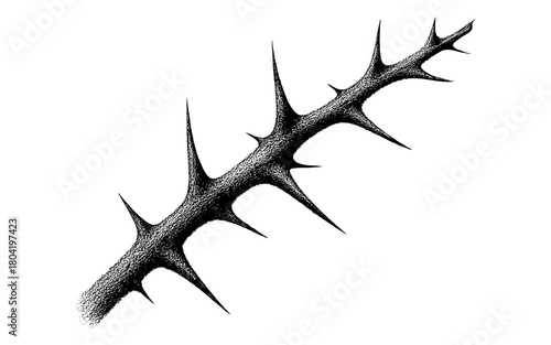 Intricate black and white engraving of thorny rose stem