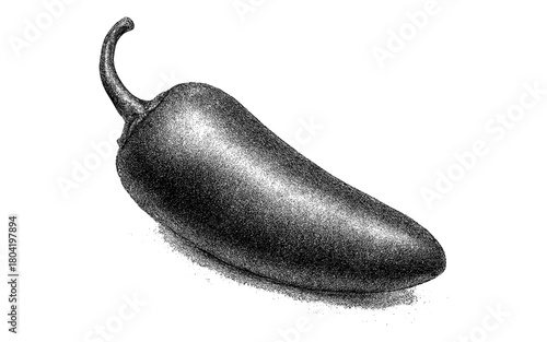 Detailed stipple art of a jalapeño pepper in black and white
