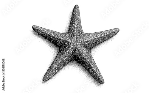 Detailed stipple starfish with dot shading on white background