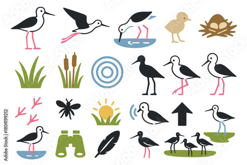 Stilt Birdwatching and Nature Icon Set with Birds, Nest, and Binoculars