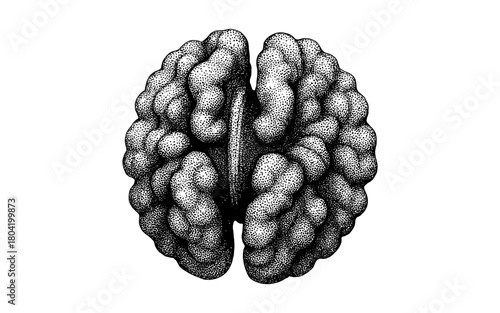Intricate dotwork stipple art of human brain in monochrome