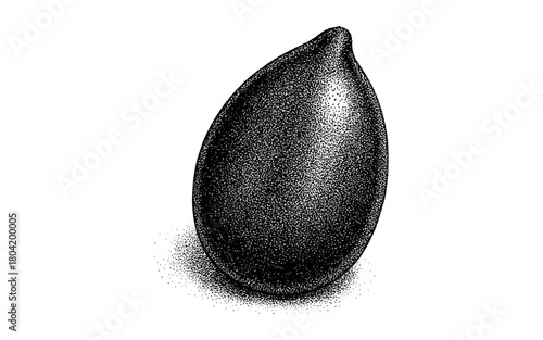 Stippled black sesame seed in vintage ink art style
