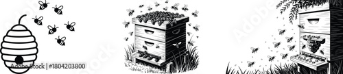 Illustrations of beehives and bees in various formations