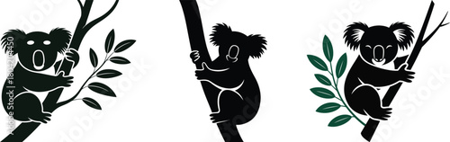 Three koala silhouettes clinging to tree branches design