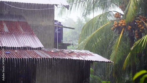 Heavy Tropical Rain Falling on a Corrugated Tin Roof in a Village.