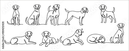  A minimalist one-line vector illustration set of dogs in various poses: sitting, walking, sleeping, jumping, and playing. This continuous line drawing style is perfect for modern design, pet-themed