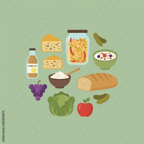 This illustration shows an assortment of healthy foods like cheese, kimchi, yogurt, bread, grapes, cabbage, an apple, and kombucha.