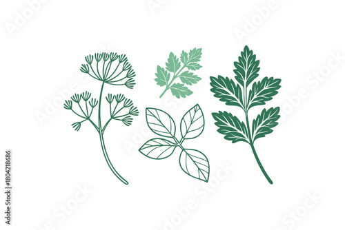 Collection of Green Herb Leaves and Sprigs on White Background
