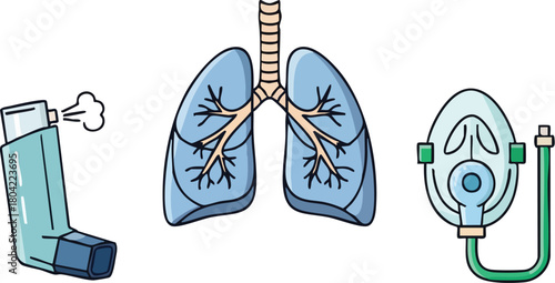 Illustration of an inhaler, human lungs with bronchi and trachea, and a nebulizer on a clean white background, conveying health and medical concepts.