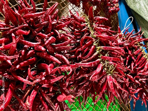 Photography Dried red chili peppers hanging at market in budapest
