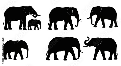 Black Silhouette Vector of Elephants in Different Poses and Sizes, Standing, Walking, and Feeding, Baby and Adult Forms, Clean Minimal Outlines, Isolated on White Background, Wildlife Vector