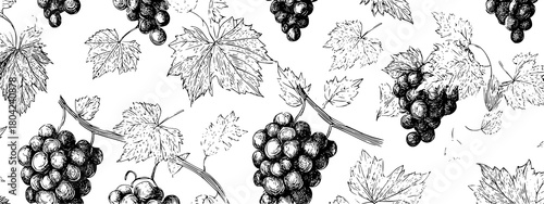 black and white seamless pattern with grapes and leafs vine brunch 