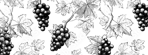 black and white seamless pattern with grapes and leafs vine brunch 