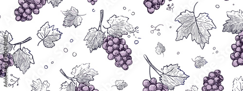 black and white seamless pattern with grapes and leafs vine brunch 