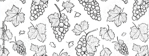 black and white seamless pattern with grapes and leafs vine brunch 