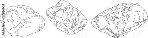 Line vector illustrations of various raw meat cuts, with detailed textures in realistic style