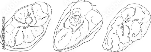 Line vector illustrations of various raw meat cuts, with detailed textures in realistic style