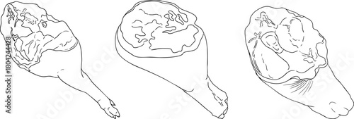 Line vector illustrations of various raw meat cuts, with detailed textures in realistic style