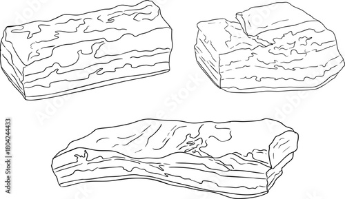 Line vector illustrations of various raw meat cuts, with detailed textures in realistic style