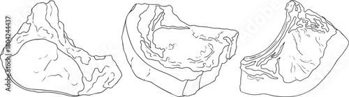 Line vector illustrations of various raw meat cuts, with detailed textures in realistic style