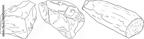 Line vector illustrations of various raw meat cuts, with detailed textures in realistic style