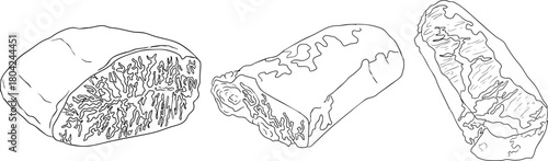 Line vector illustrations of various raw meat cuts, with detailed textures in realistic style