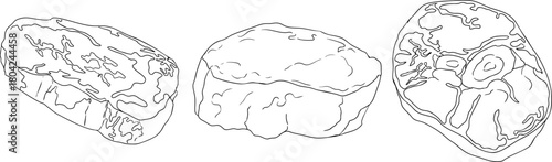 Line vector illustrations of various raw meat cuts, with detailed textures in realistic style