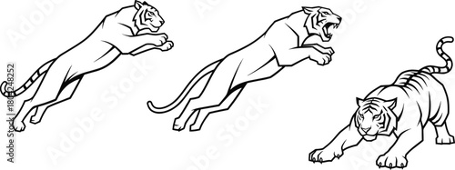 Leaping tiger in an energetic pose