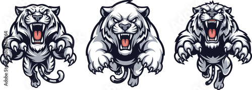 Roaring tiger jumping forward