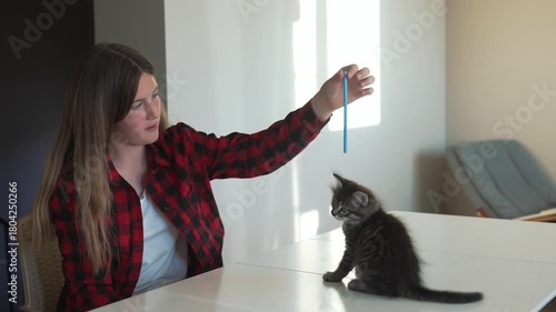 Teen plays with kitten on table while girl guides kitten to play with blue toy cat explores white table pet interaction shows gentle home indoor care cozy family setting showing gentle bond play