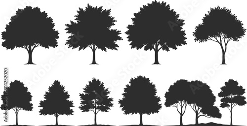 Tree silhouette vector collection, forest and nature illustration, black tree shapes, landscape and botanical design, environment and ecology graphic art