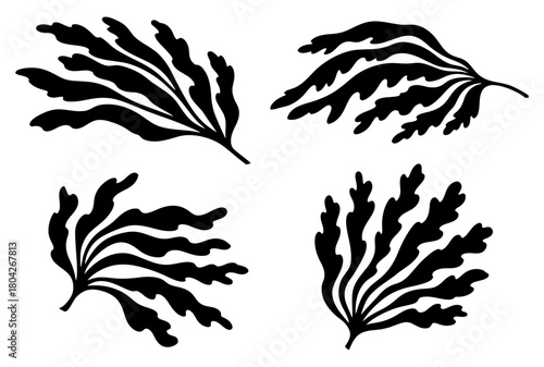 Seaweed silhouette vector set of black algae marine plant illustration